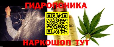 эйфоретик Ливны