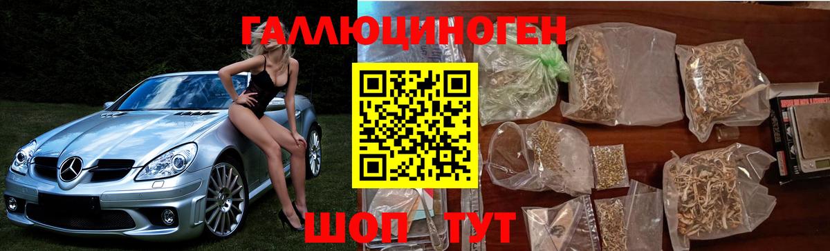 Псилоцибиновые грибы Psilocybine cubensis  Вход с VPN  Калуга 